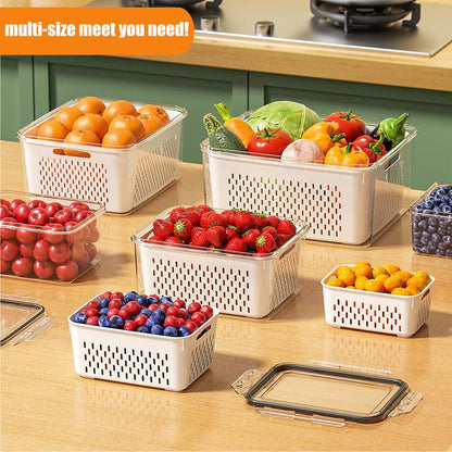 Fridge Fresh Storage Box